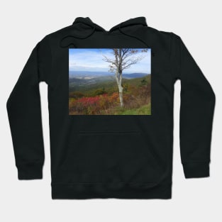 Fall in Shenandoah Hoodie